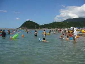 遠浅の海